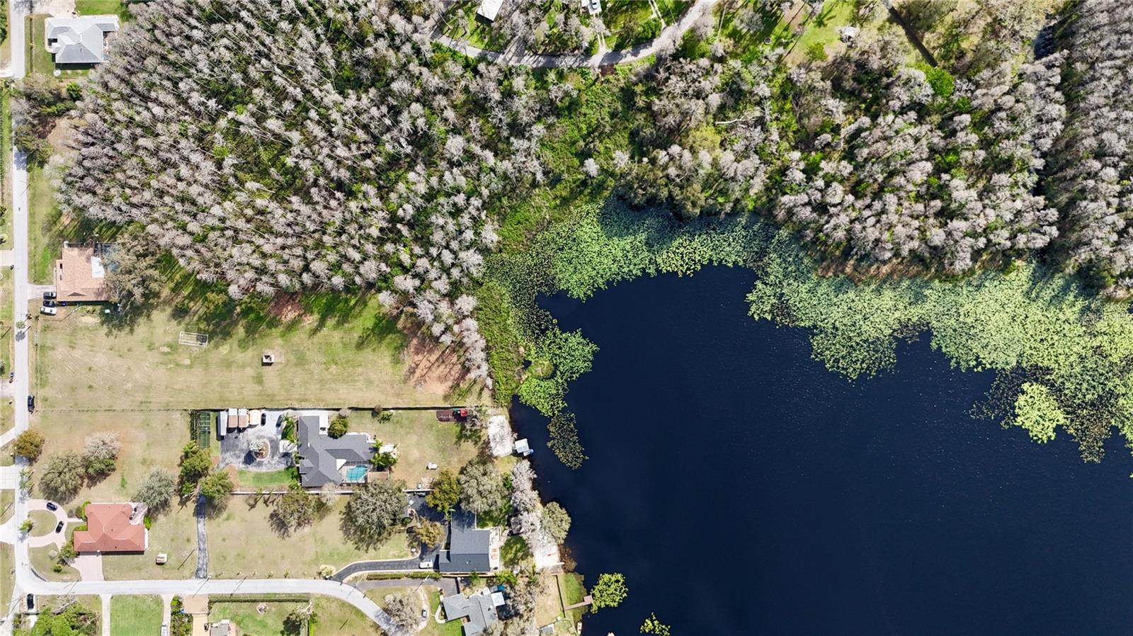 AURALEE ACRES LOT 3 BLOUNT RD, LUTZ, FL — photo 7