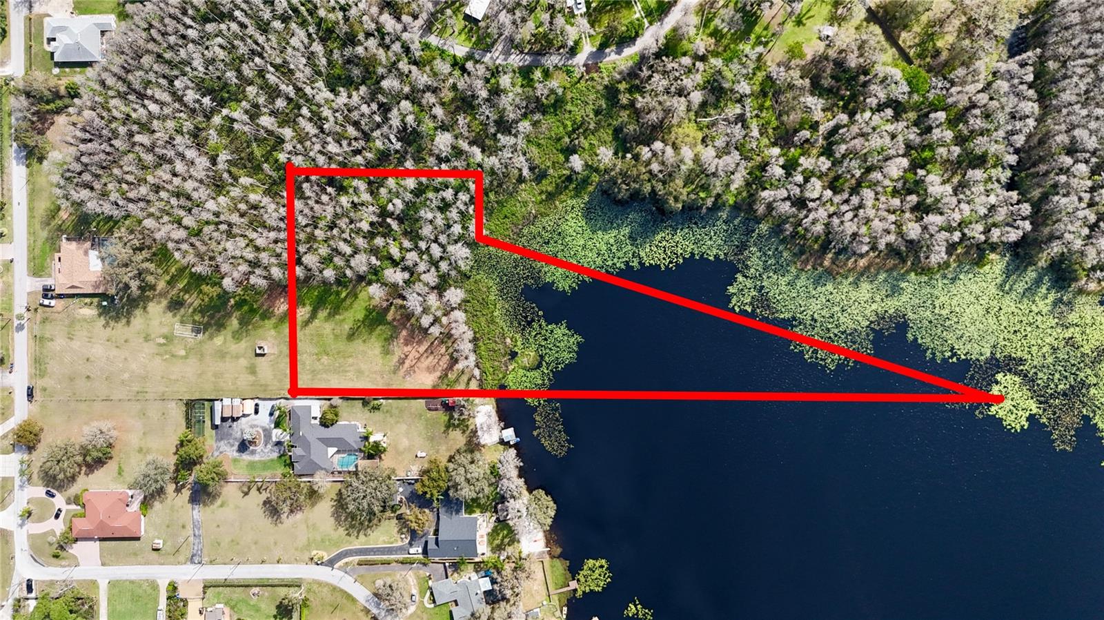 AURALEE ACRES LOT 3 BLOUNT RD, LUTZ, FL — photo 8
