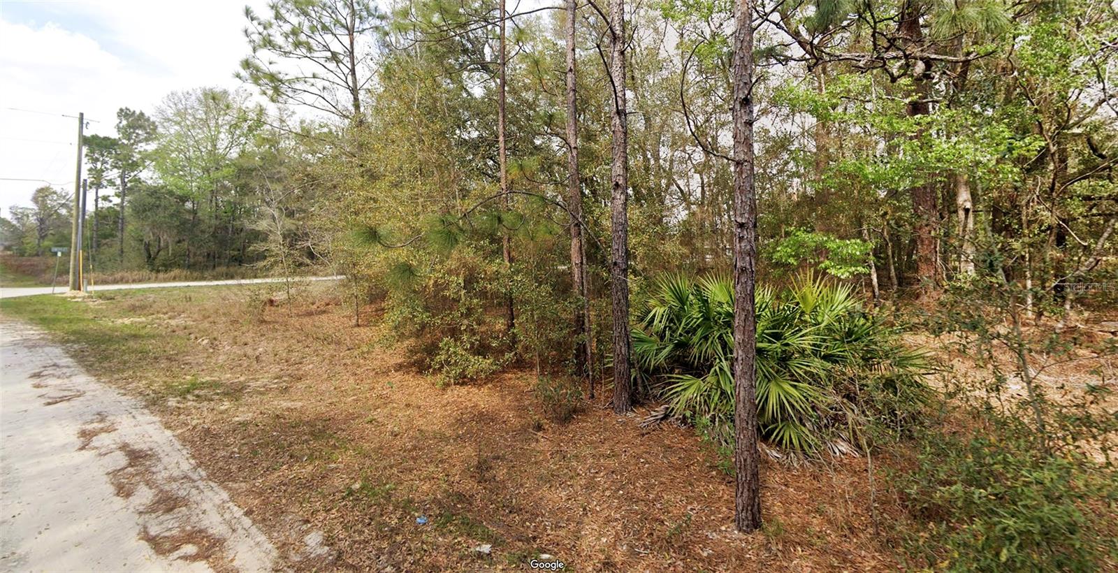 SW 146TH CT, OCALA, FL — photo 2