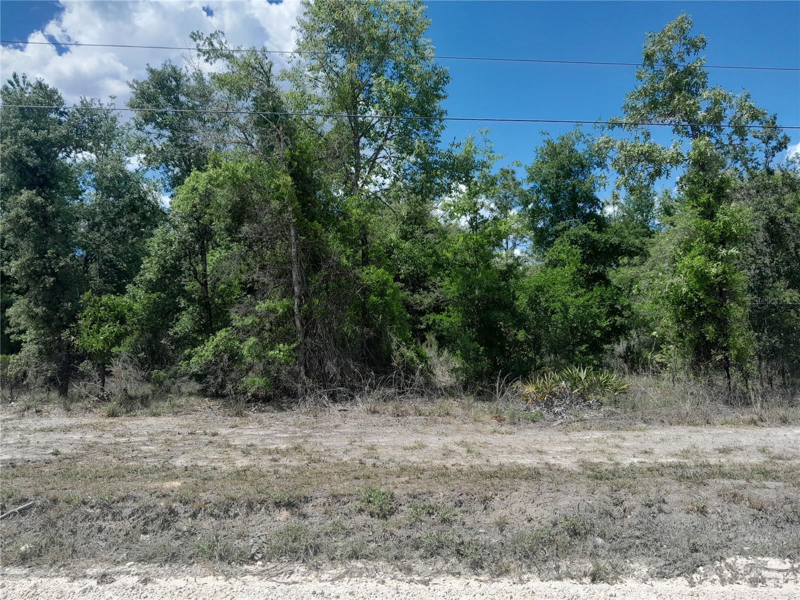 tbd NE 63RD PL, WILLISTON, FL