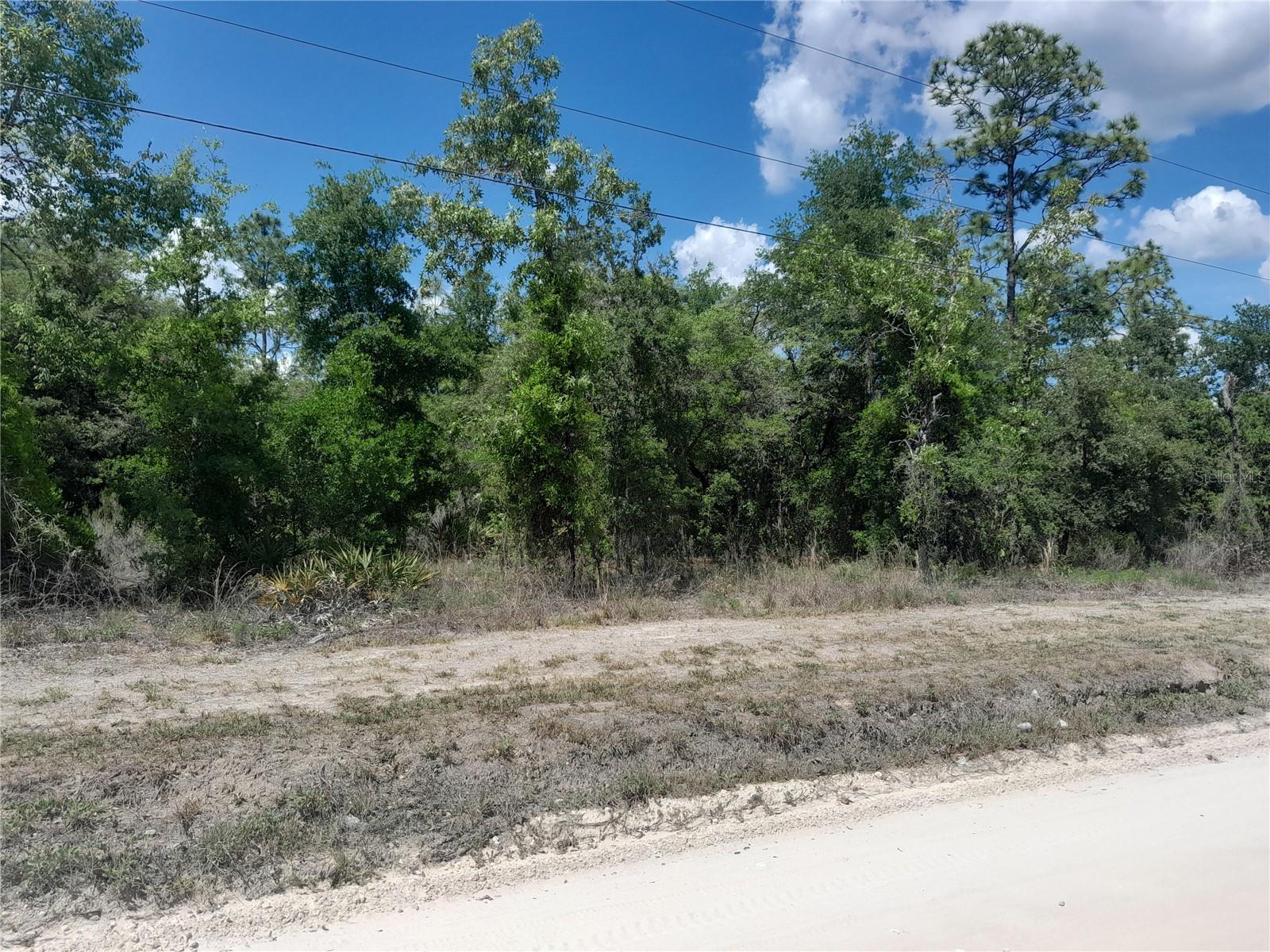 tbd NE 63RD PL, WILLISTON, FL — photo 2