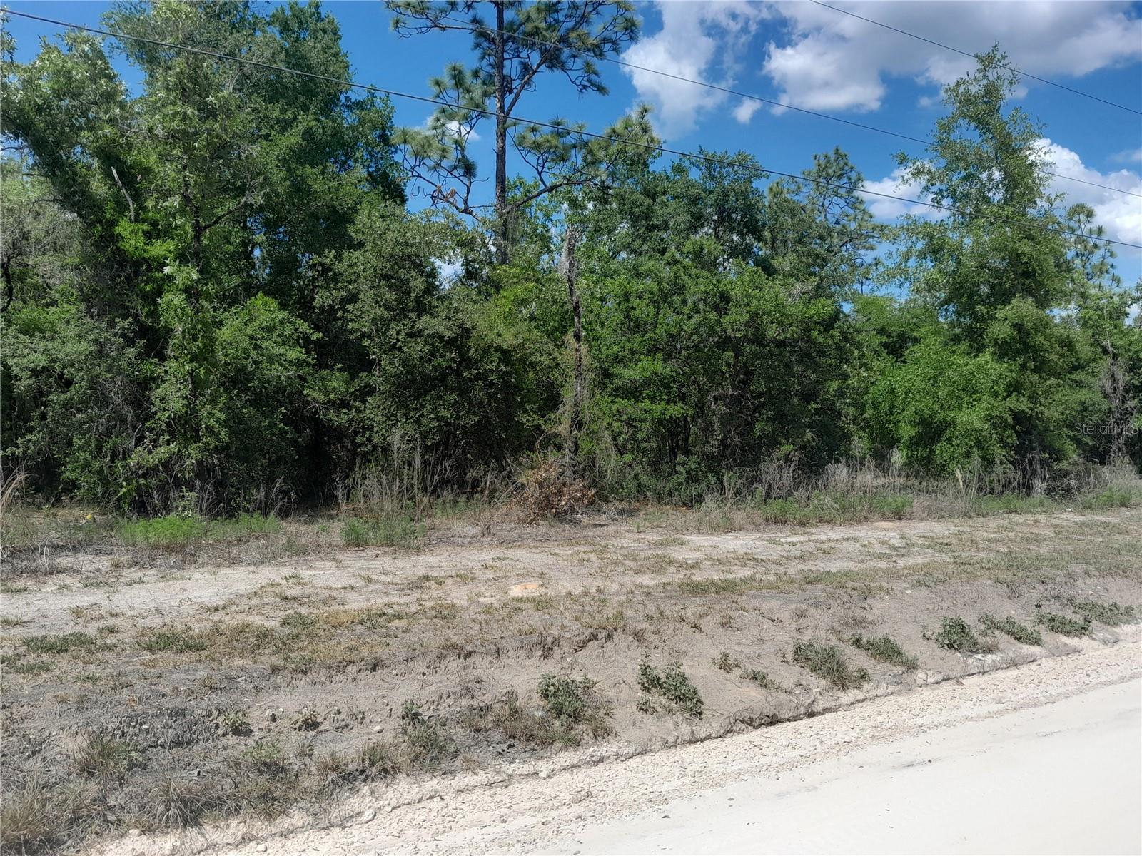tbd NE 63RD PL, WILLISTON, FL — photo 3