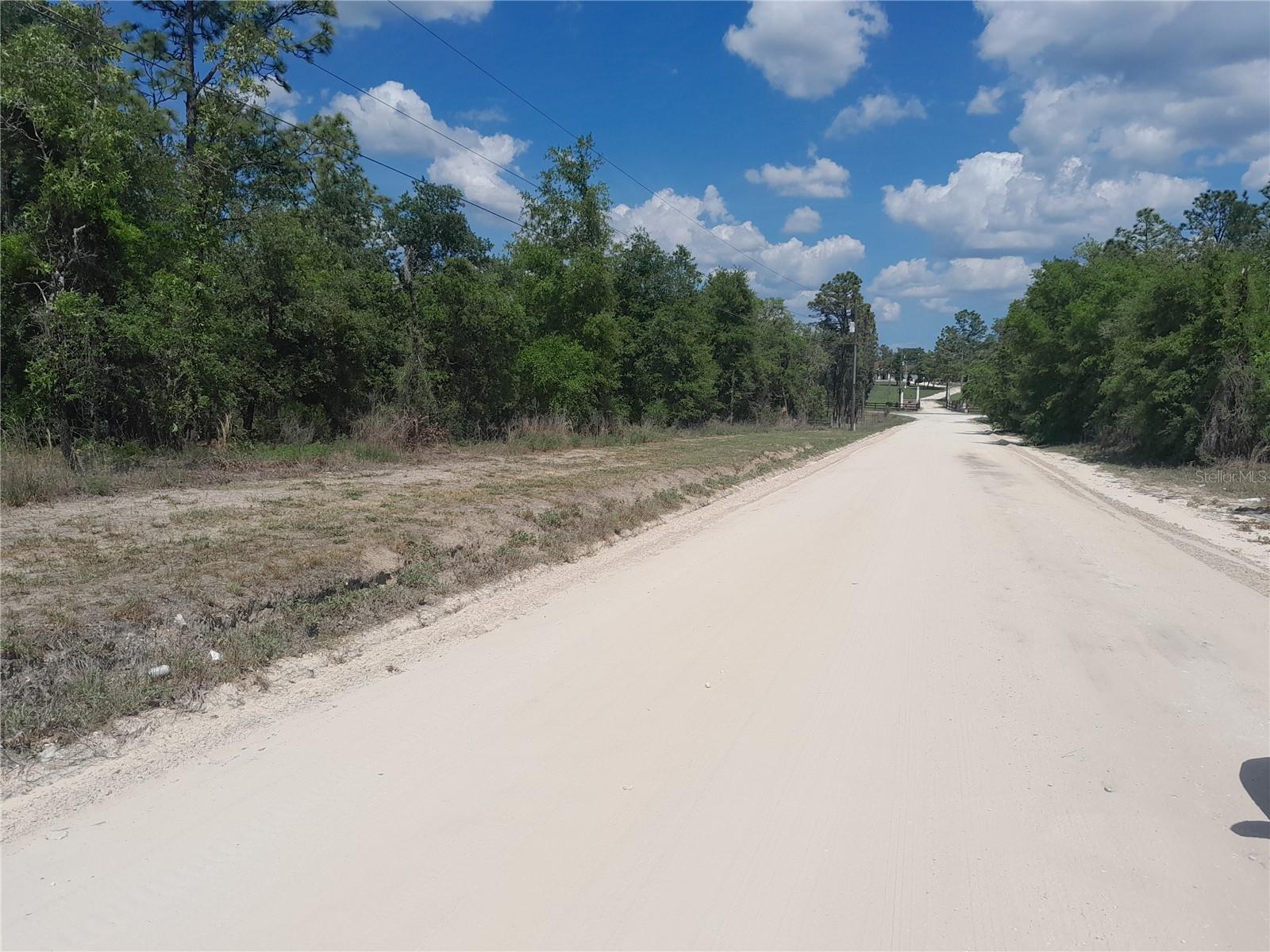 tbd NE 63RD PL, WILLISTON, FL — photo 4