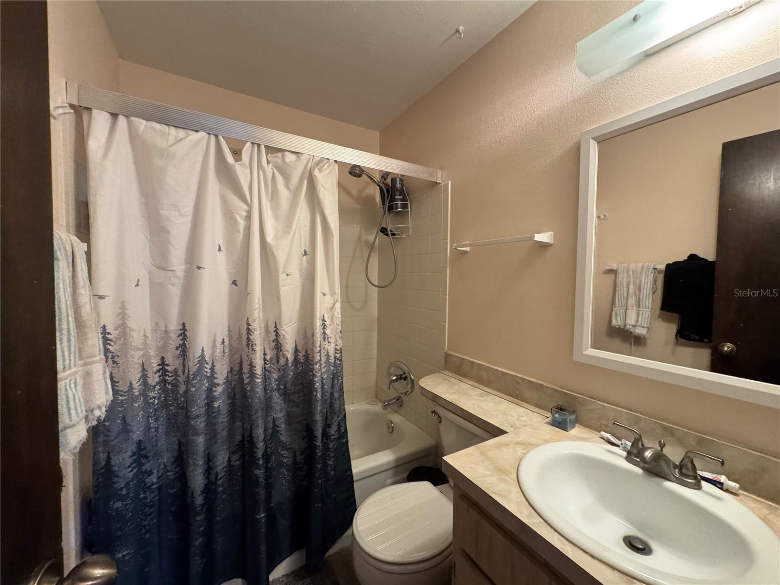 1703 N TAYLOR RD, BRANDON, FL — photo 31
