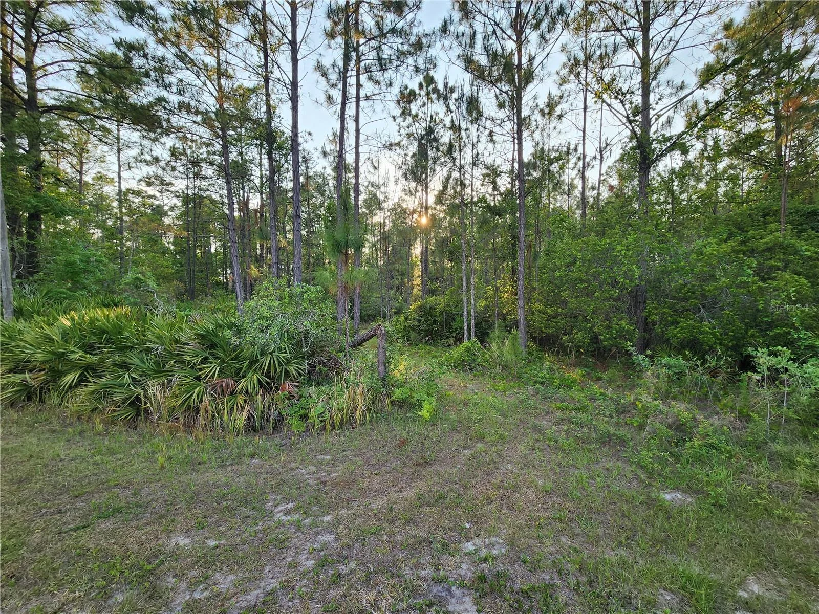 LOT 8 TAMARAC ST, EUSTIS, FL — photo 4