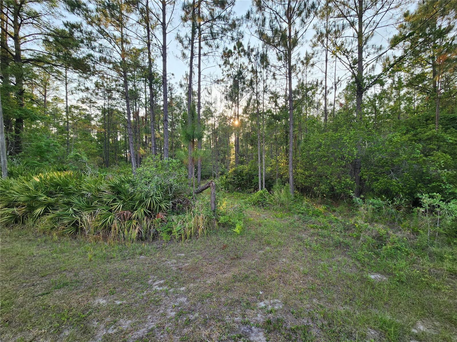 LOT 8 TAMARAC ST, EUSTIS, FL — photo 3