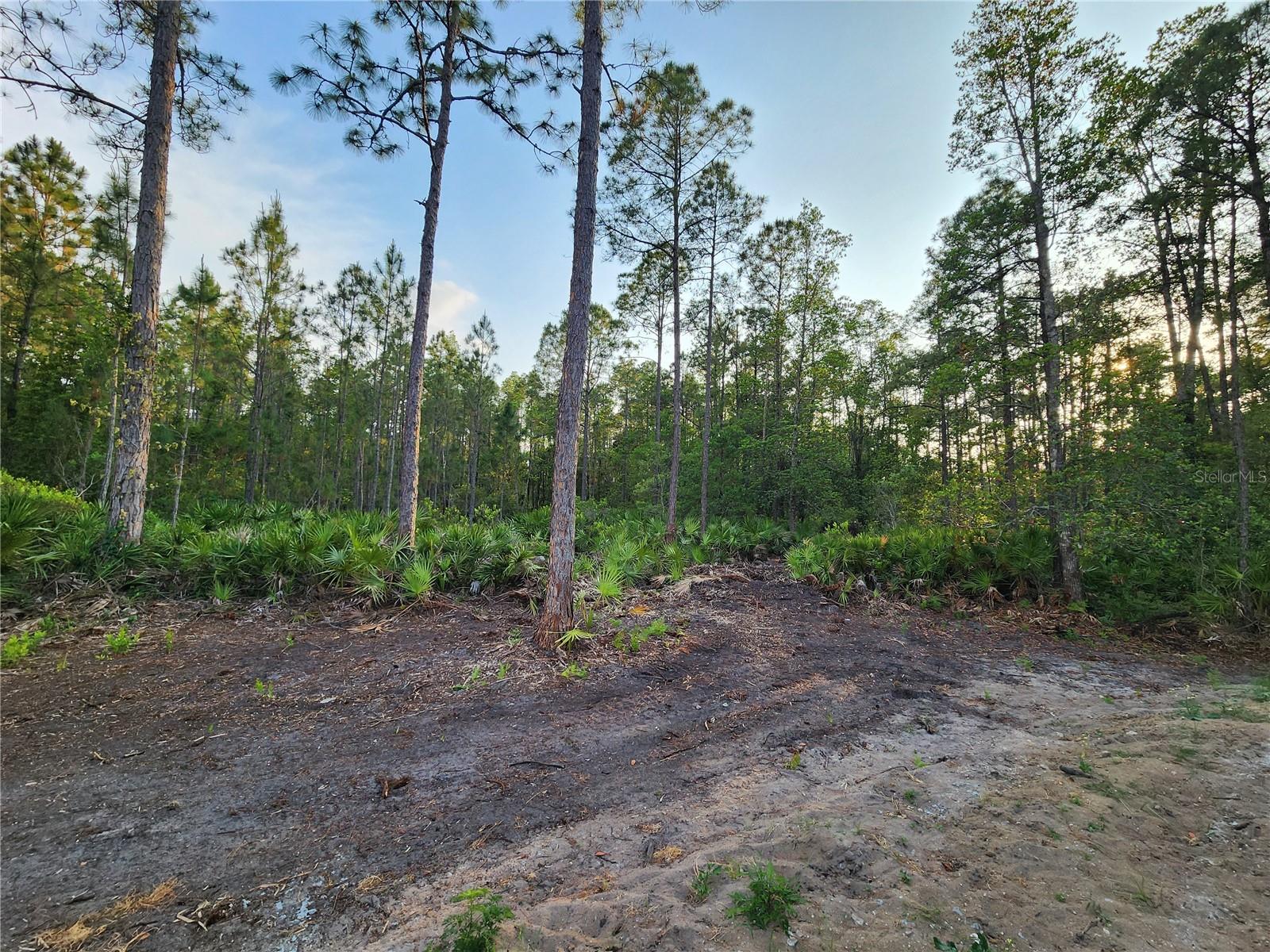 LOT 8 TAMARAC ST, EUSTIS, FL — photo 5
