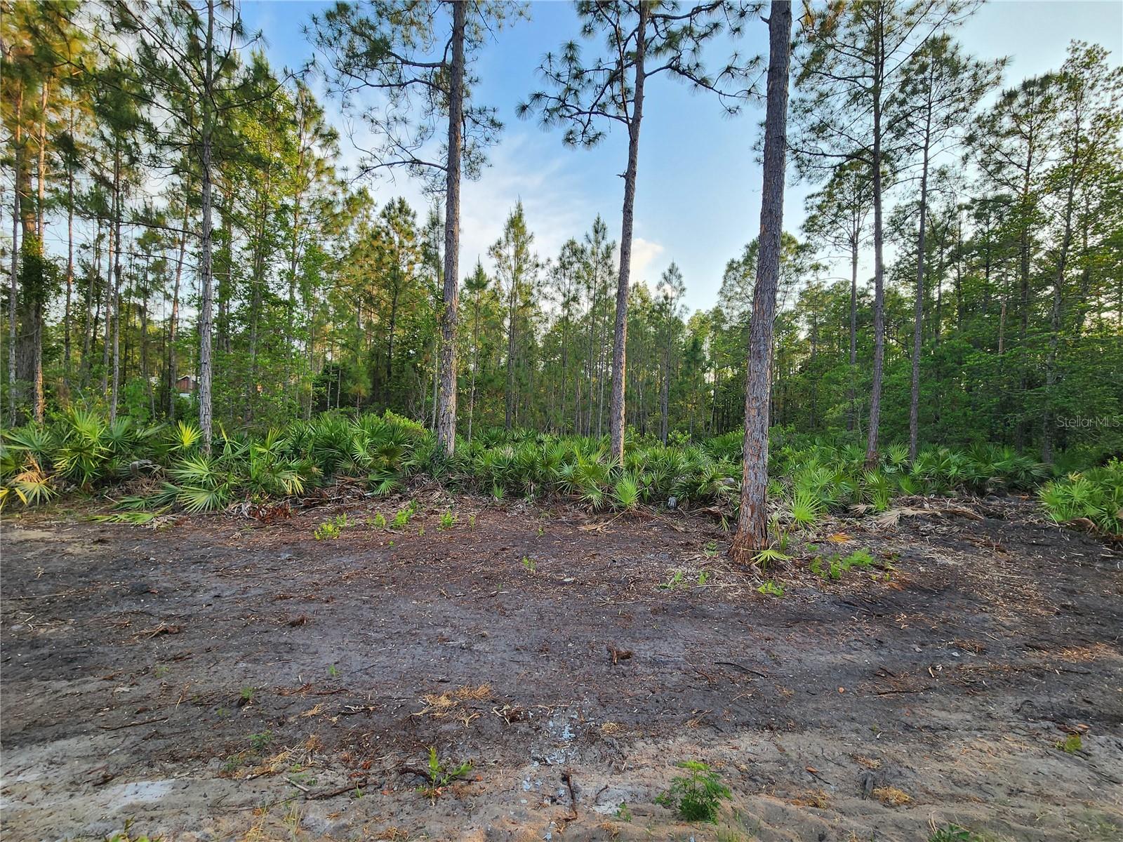 LOT 8 TAMARAC ST, EUSTIS, FL — photo 7