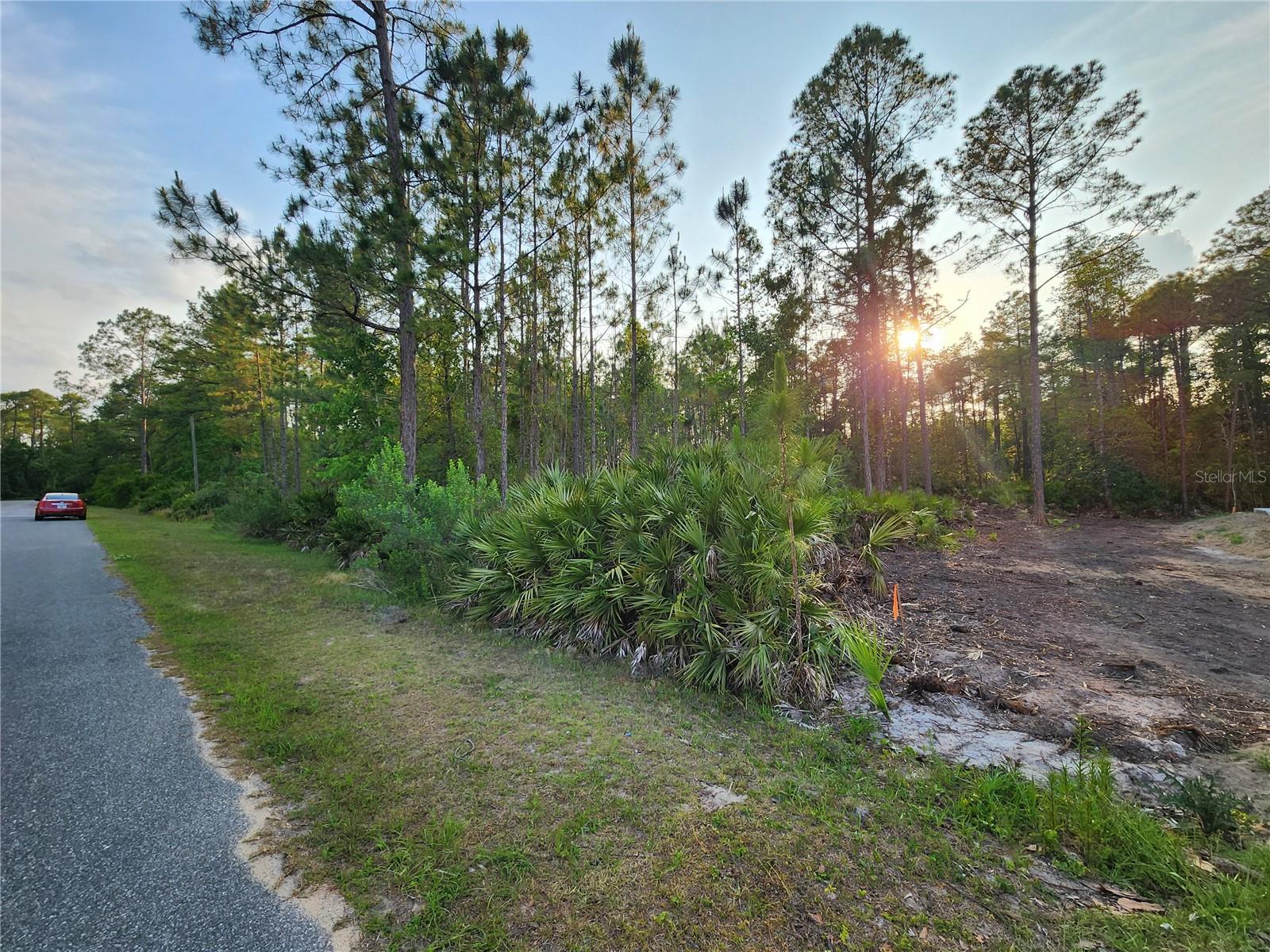 LOT 8 TAMARAC ST, EUSTIS, FL — photo 9