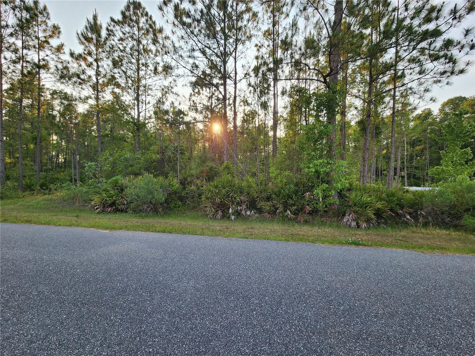 LOT 8 TAMARAC ST, EUSTIS, FL — photo 11