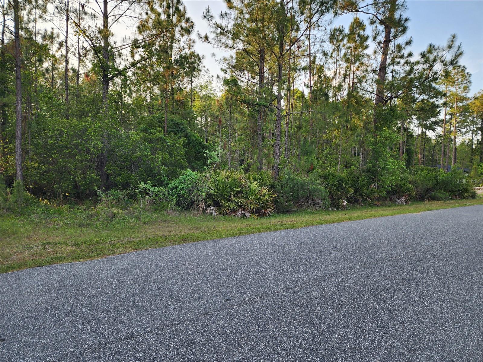 LOT 8 TAMARAC ST, EUSTIS, FL — photo 13