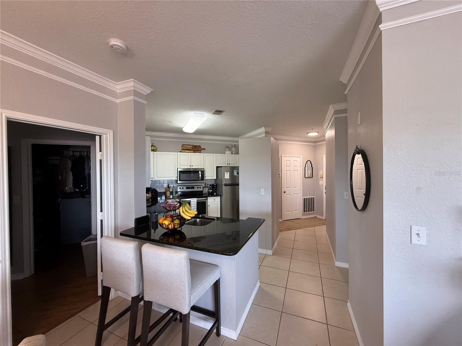 4333 BAYSIDE VILLAGE DR #310, TAMPA, FL — photo 11