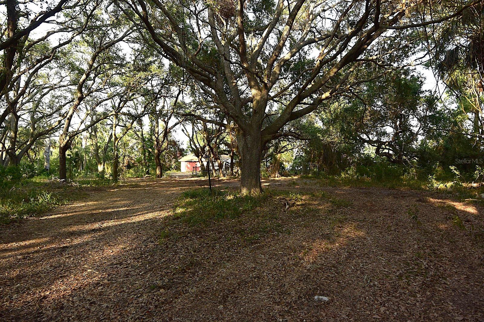 7610 ANNA AVE, GIBSONTON, FL — photo 4