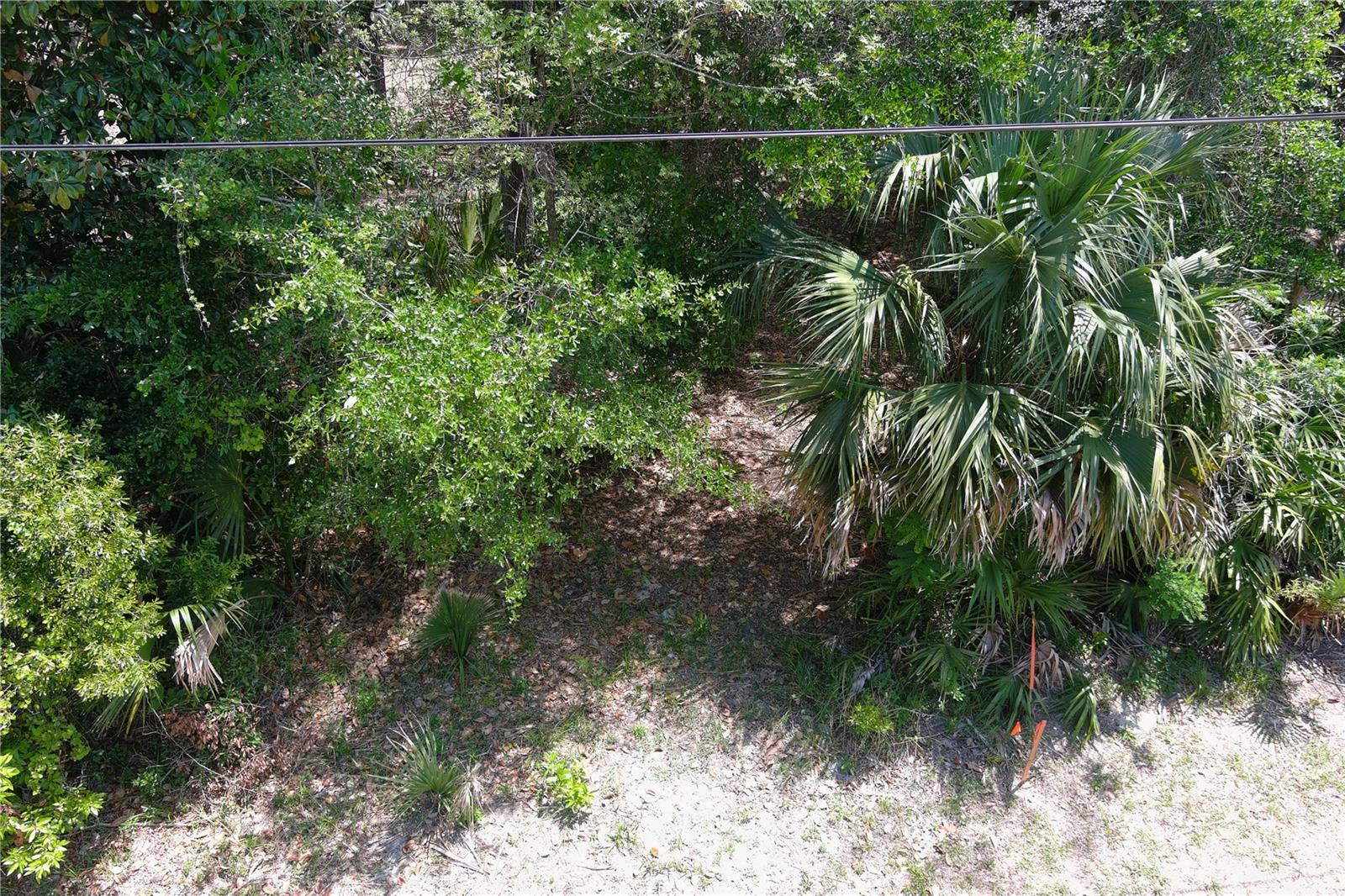 5751 JOHN ANDERSON HIGHWAY, FLAGLER BEACH, FL — photo 11