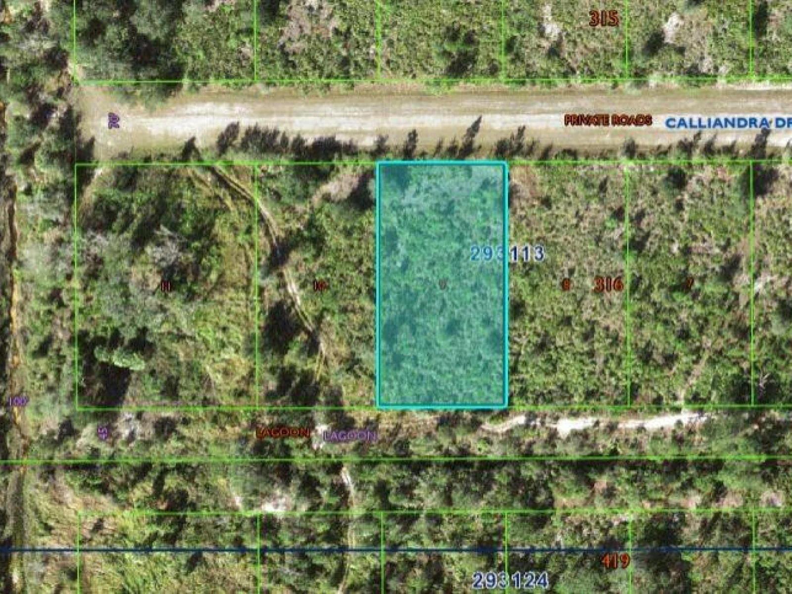 CALLIANDRA DR, INDIAN LAKE ESTATES, FL — photo 2