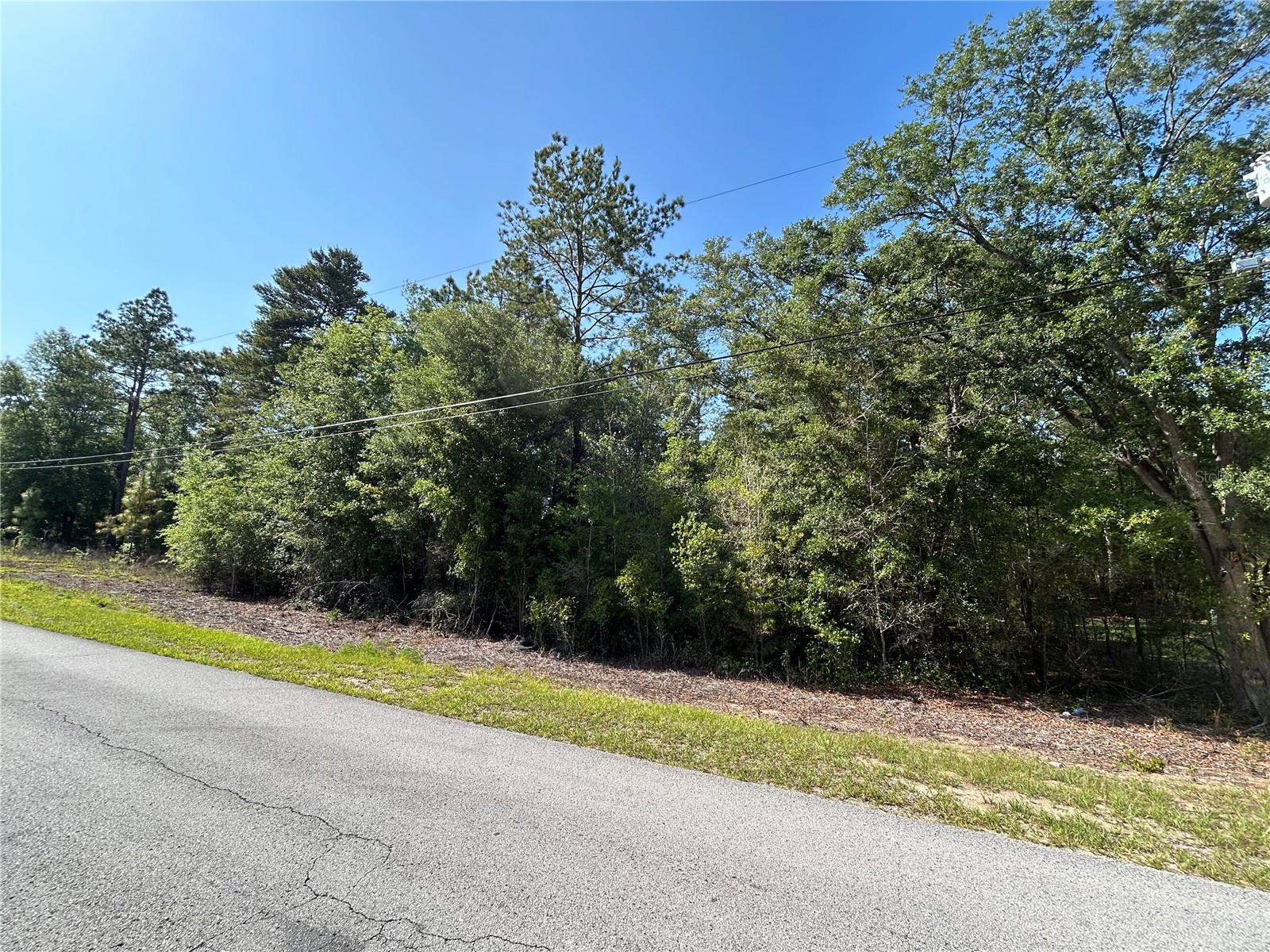 TBD SW AUDUBON AVE, DUNNELLON, FL — photo 2