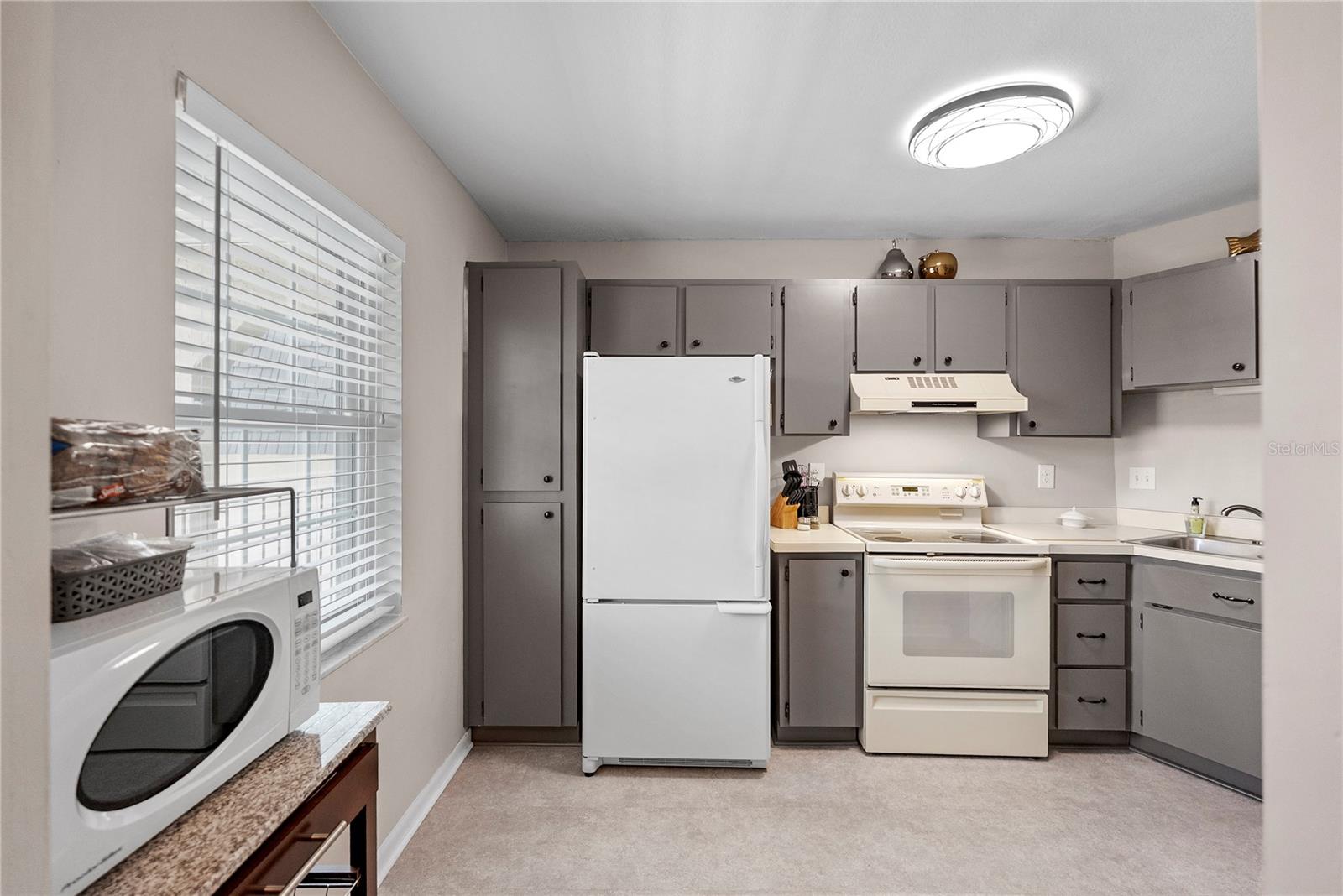 8703 BARDMOOR BLVD #305, SEMINOLE, FL — photo 4