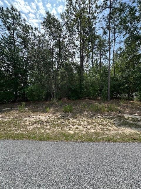 920 W RUM PL, DUNNELLON, FL