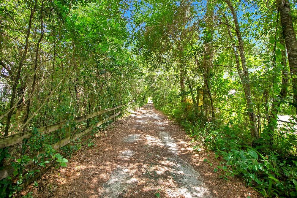 8816 TREVARTHON RD, ORLANDO, FL