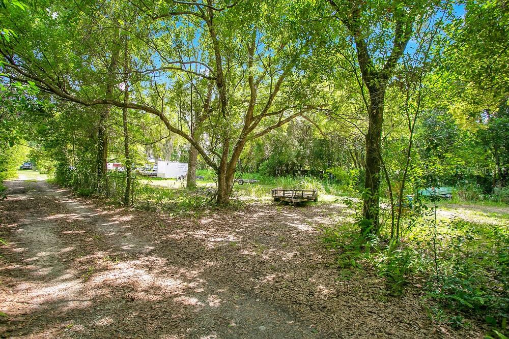8816 TREVARTHON RD, ORLANDO, FL — photo 3