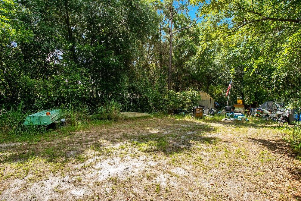 8816 TREVARTHON RD, ORLANDO, FL — photo 5