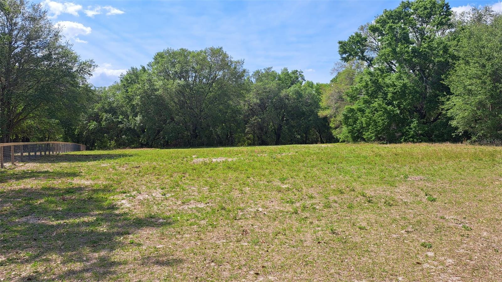 00 SE 101ST CT RD, BELLEVIEW, FL — photo 3