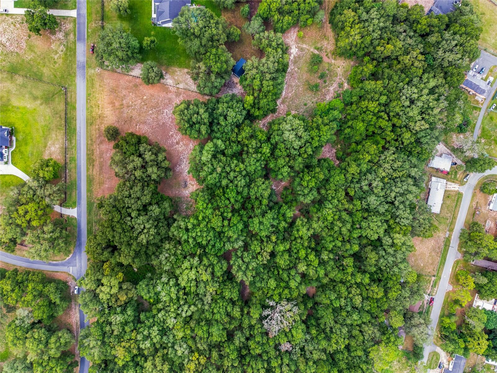 00 SE 101ST CT RD, BELLEVIEW, FL — photo 6