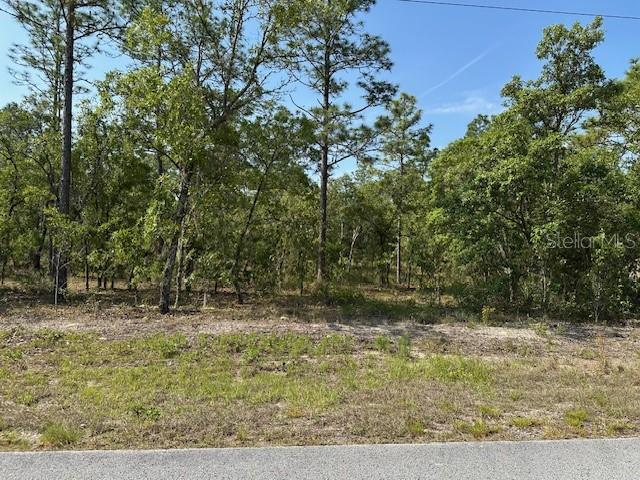 Lot 20 SW ANCHOR BLVD, DUNNELLON, FL — photo 2
