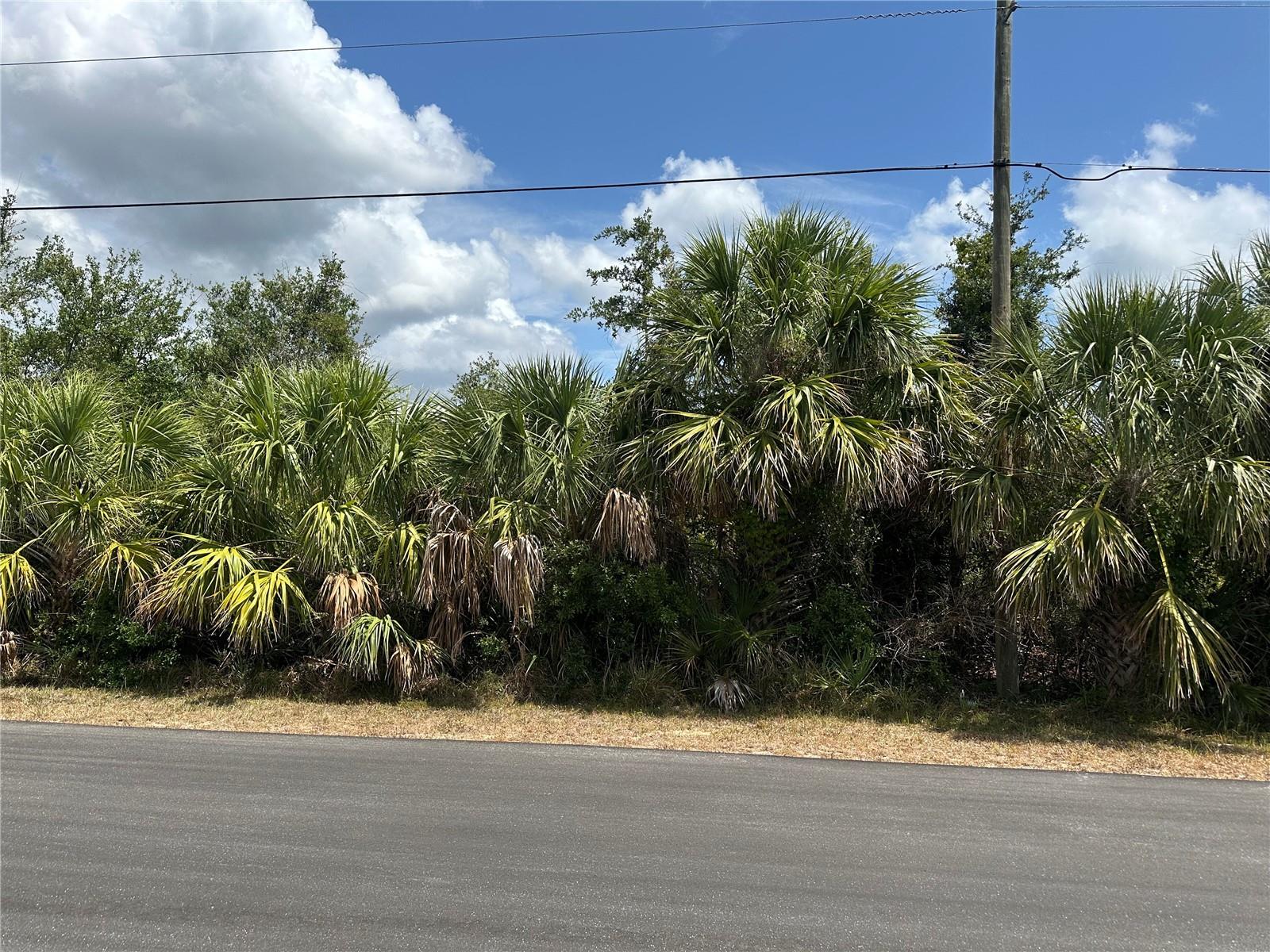 12006 GROUSE AVE, PORT CHARLOTTE, FL — photo 2
