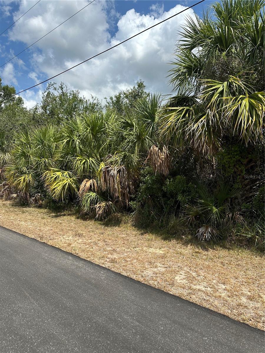 12006 GROUSE AVE, PORT CHARLOTTE, FL — photo 3