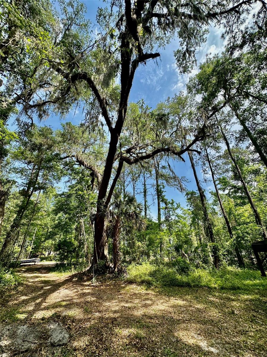 12100 NW US HIGHWAY 441, ALACHUA, FL — photo 38