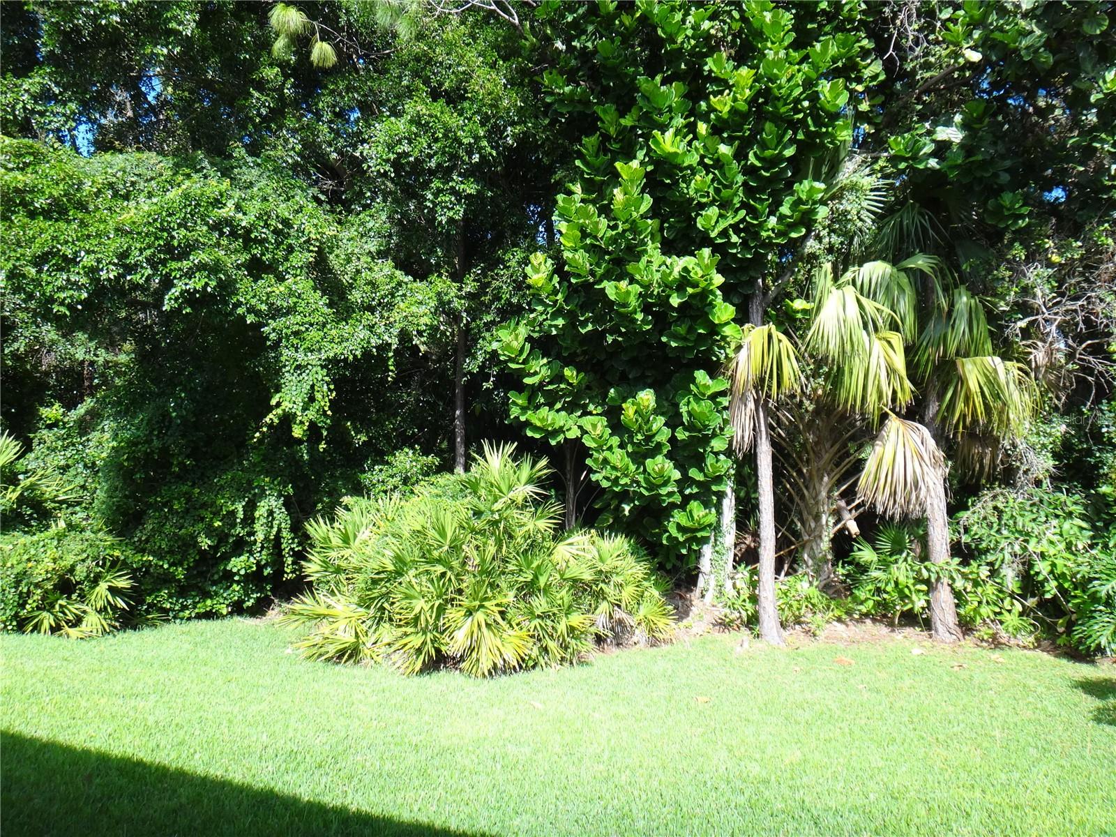 , SARASOTA, FL — photo 22