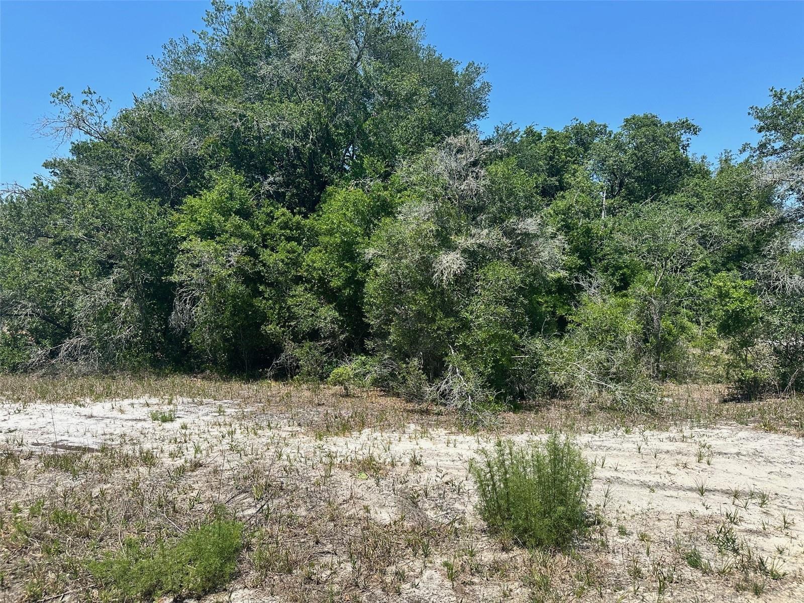 TBD ORANGE RD, OCKLAWAHA, FL