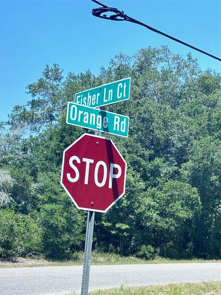 TBD ORANGE RD, OCKLAWAHA, FL — photo 2