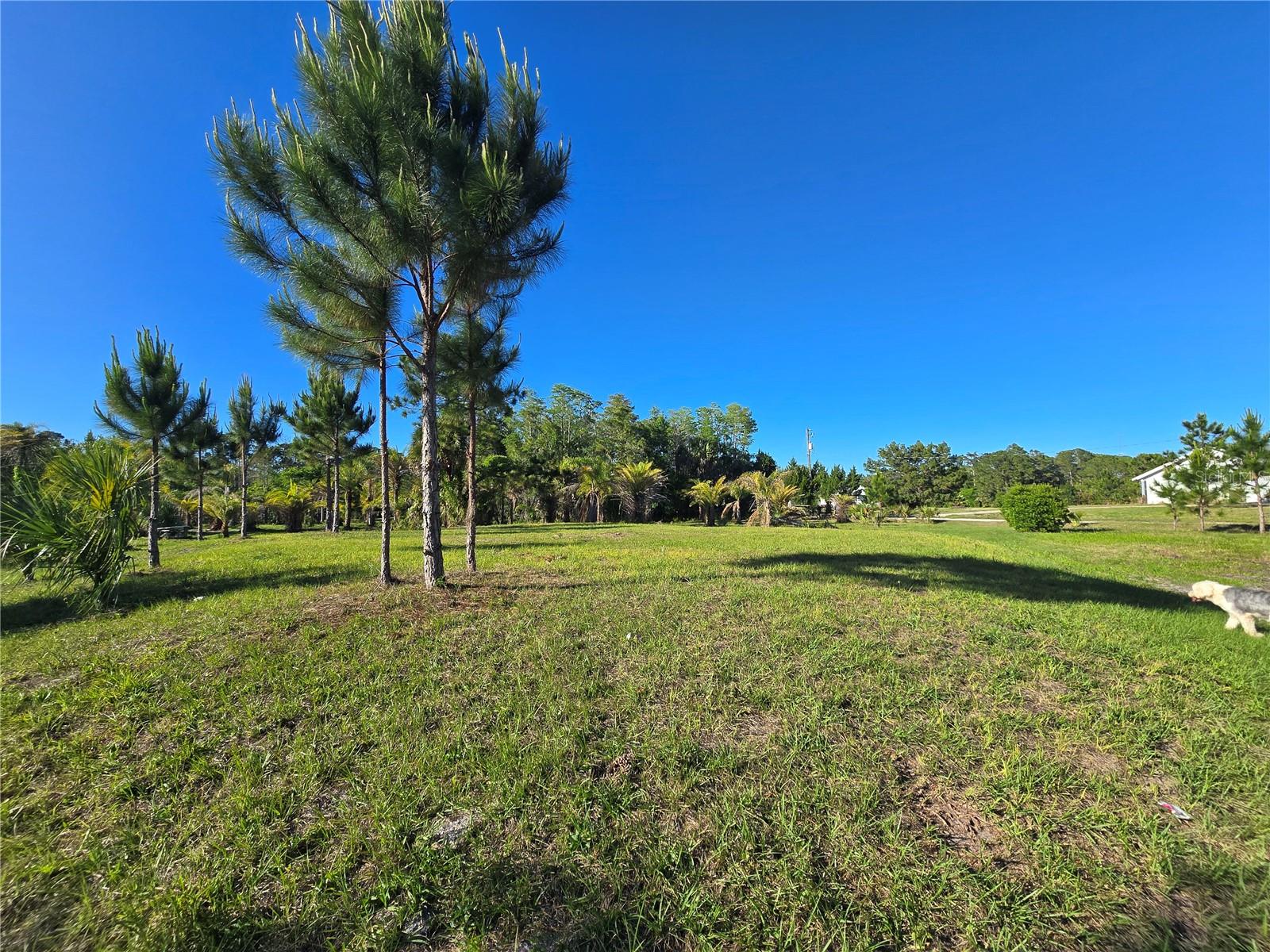 2625 GLENCOE FARMS RD, NEW SMYRNA BEACH, FL — photo 4