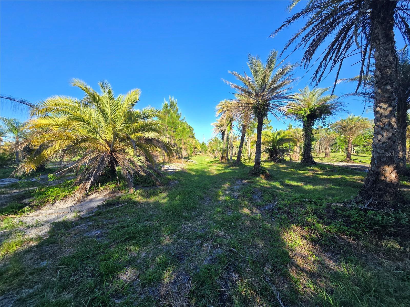 2625 GLENCOE FARMS RD, NEW SMYRNA BEACH, FL — photo 8