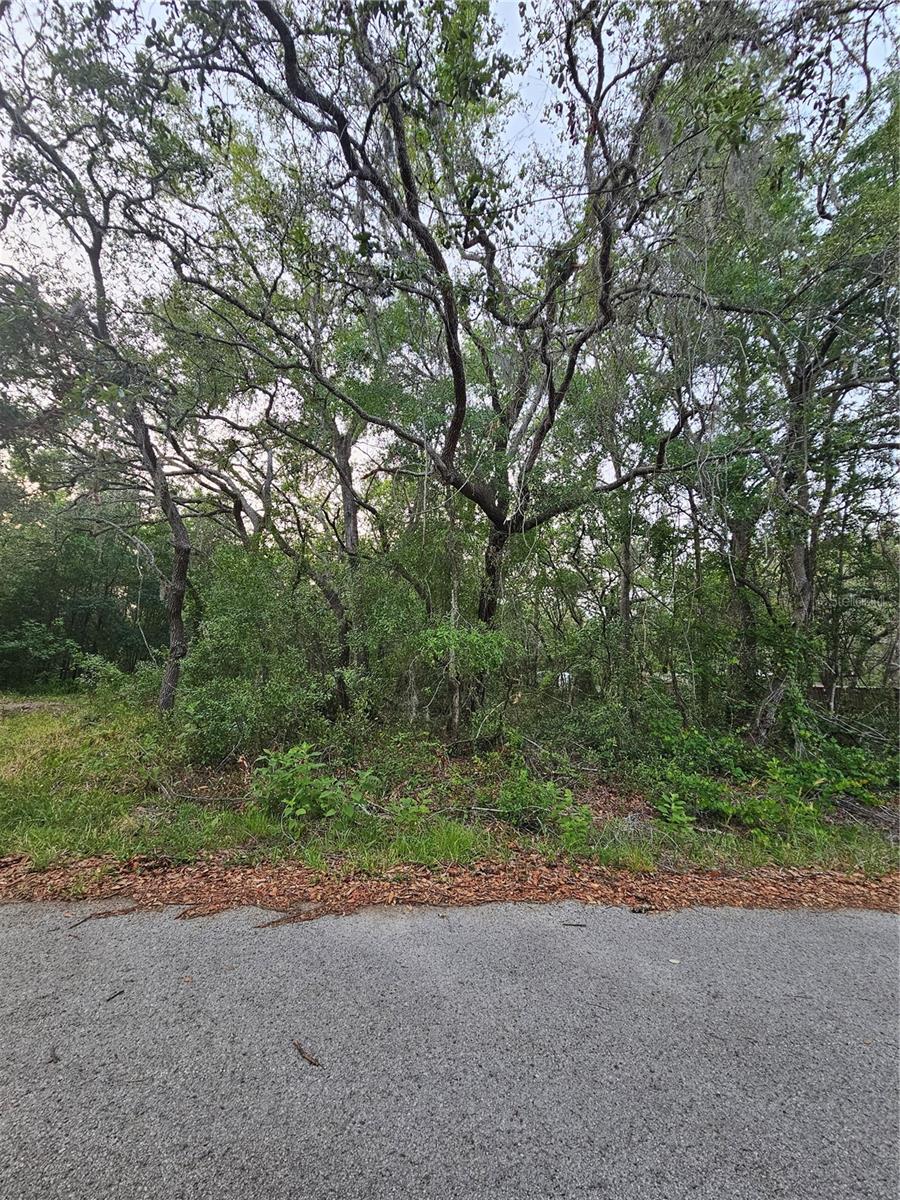 00 DOAKS ST, NEW PORT RICHEY, FL
