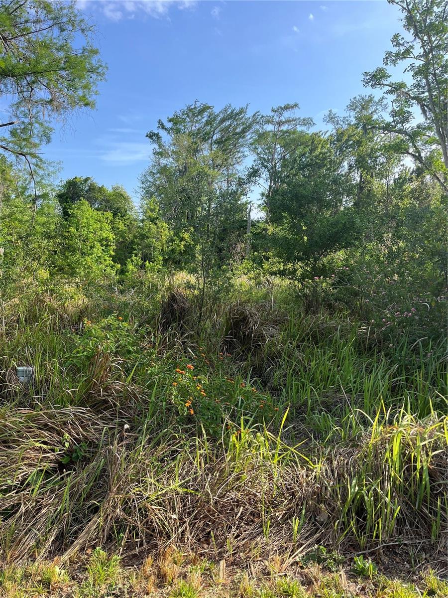 HARVEST LN, KISSIMMEE, FL — photo 7
