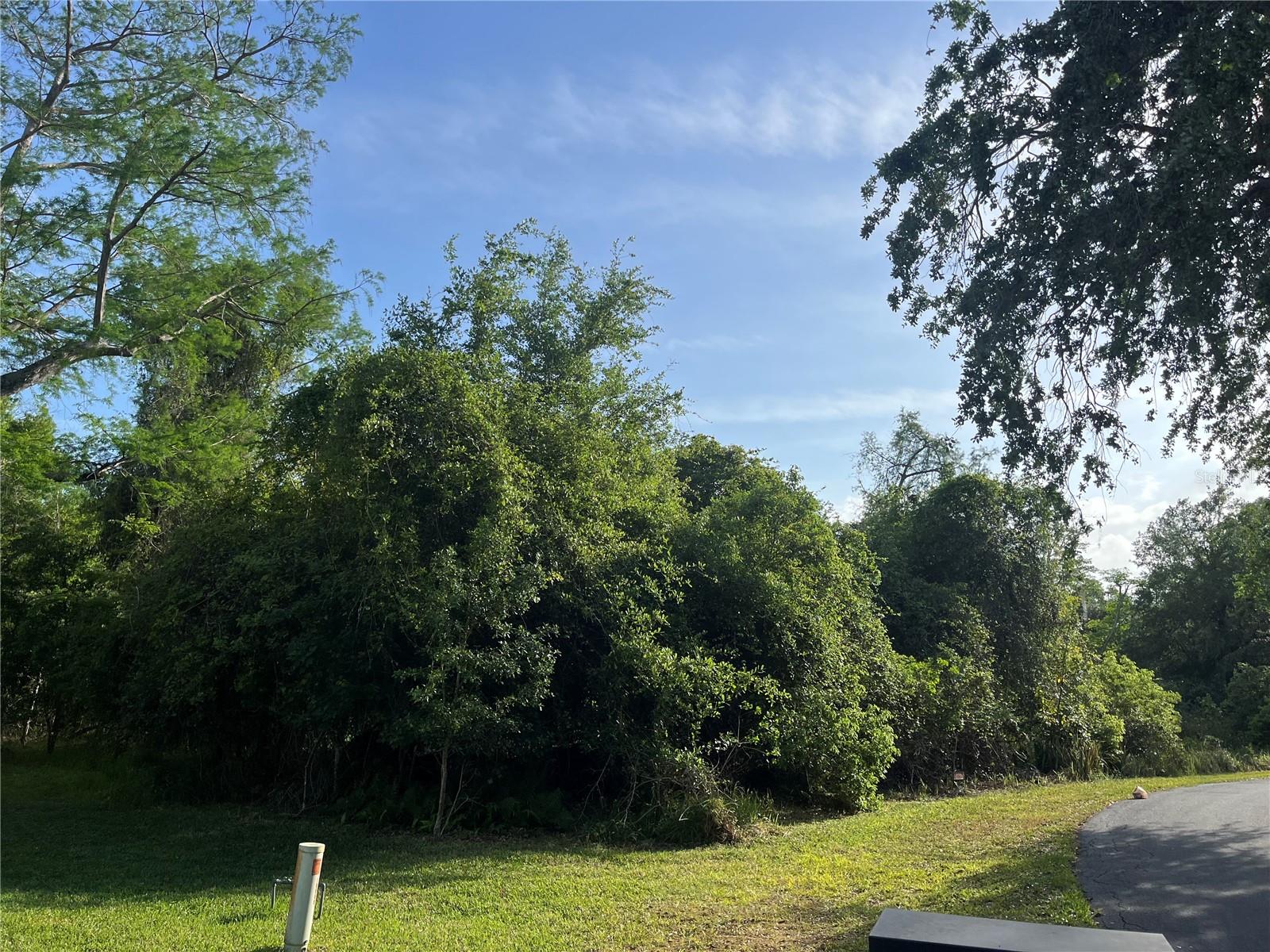 HARVEST LN, KISSIMMEE, FL — photo 10