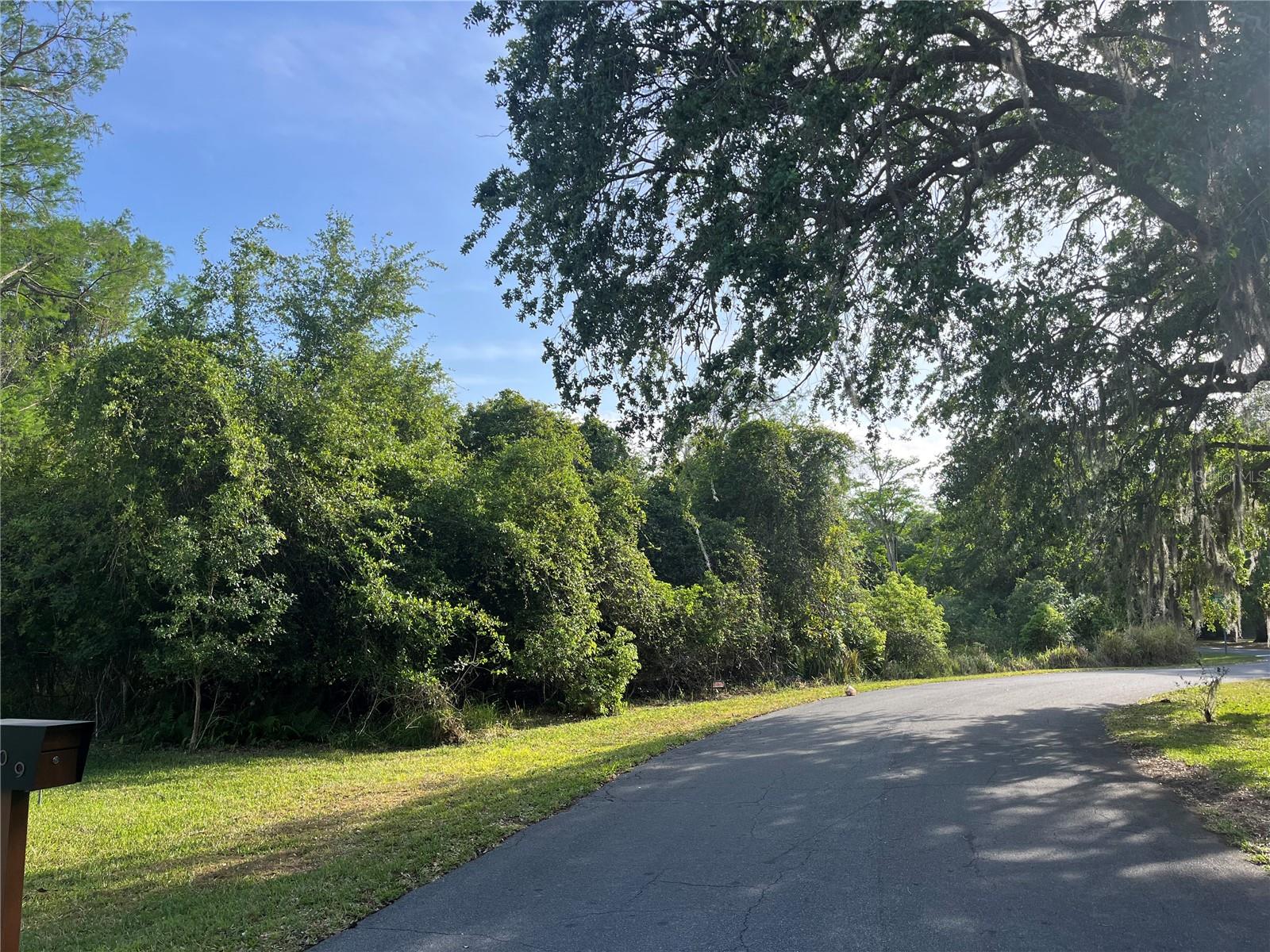 HARVEST LN, KISSIMMEE, FL — photo 12