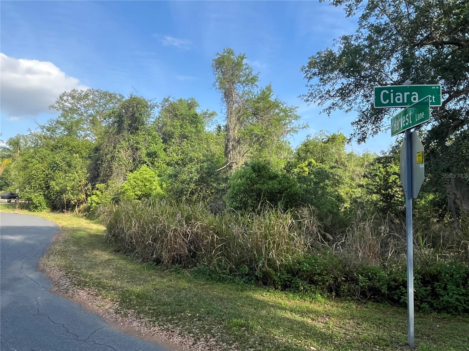 HARVEST LN, KISSIMMEE, FL — photo 14