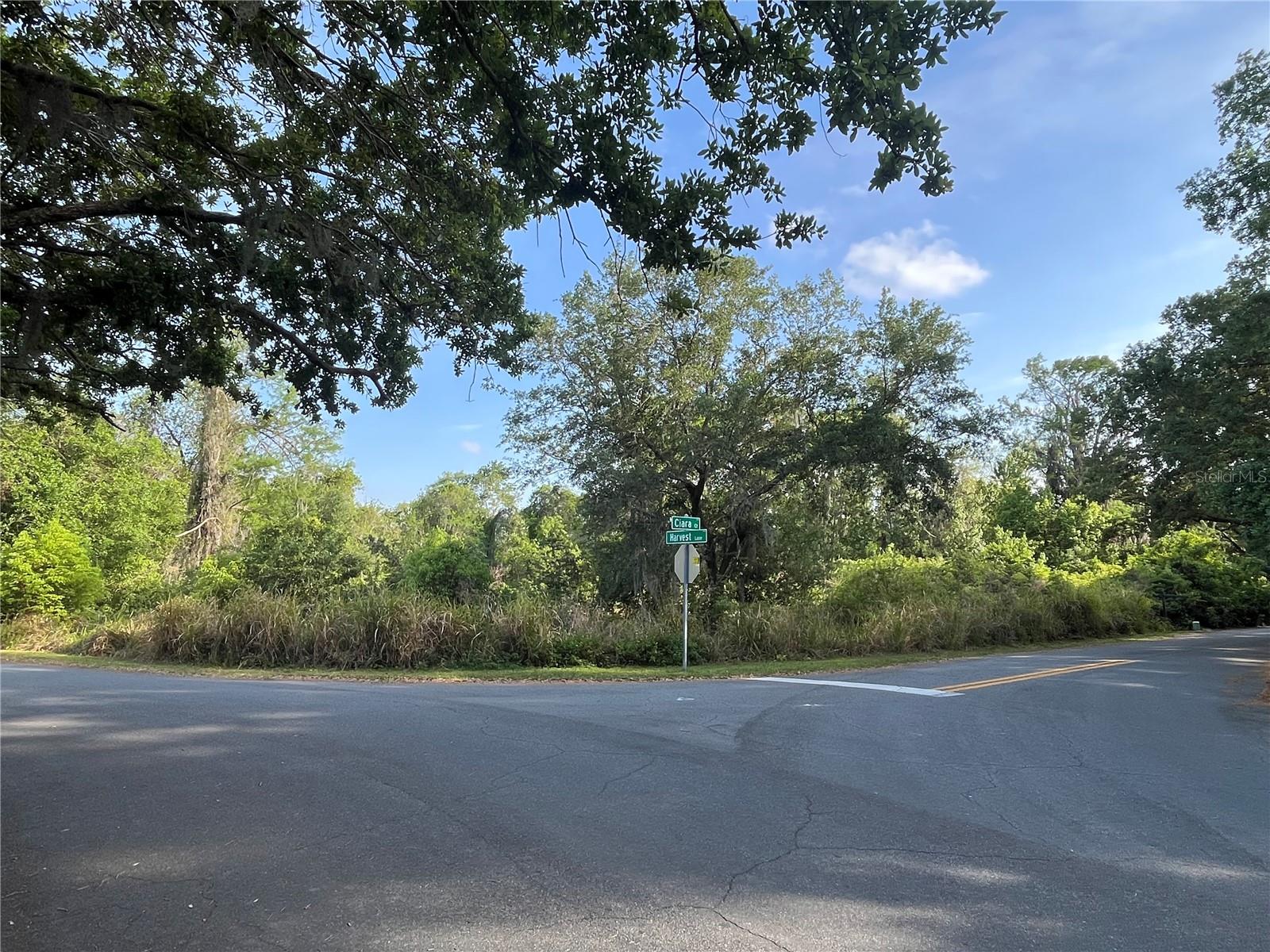 HARVEST LN, KISSIMMEE, FL — photo 16