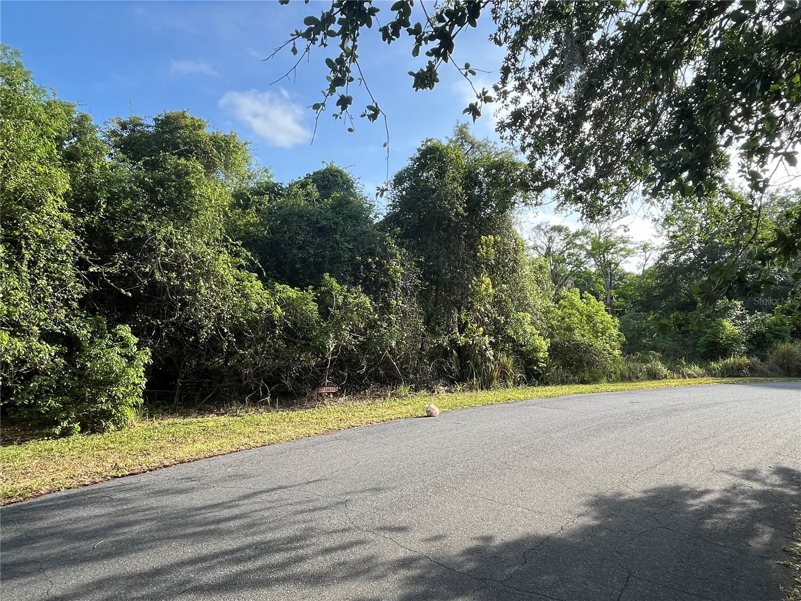 HARVEST LN, KISSIMMEE, FL — photo 17