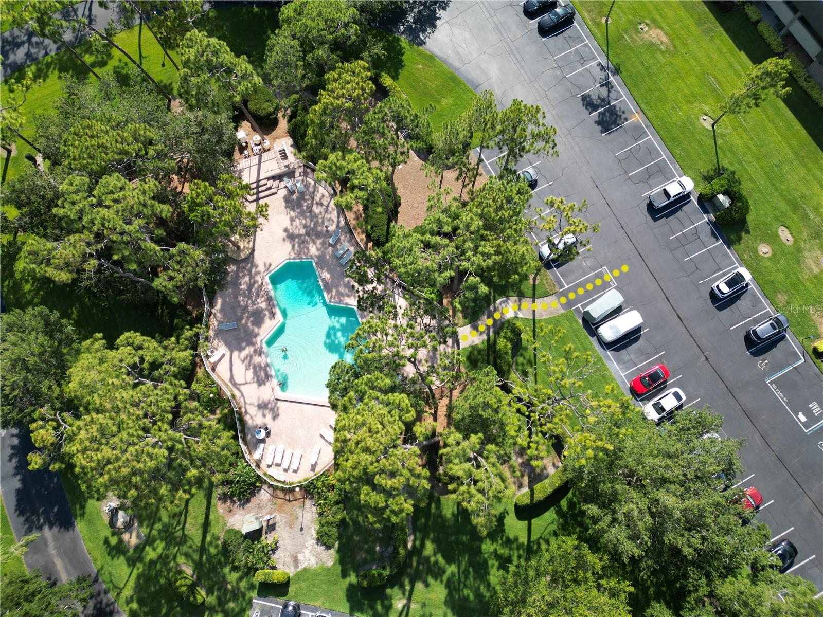 36750 US 19 HWY N #3104, PALM HARBOR, FL — photo 28