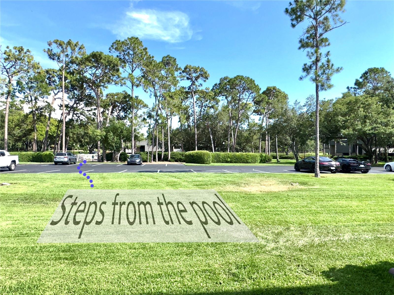 36750 US 19 HWY N #3104, PALM HARBOR, FL — photo 29