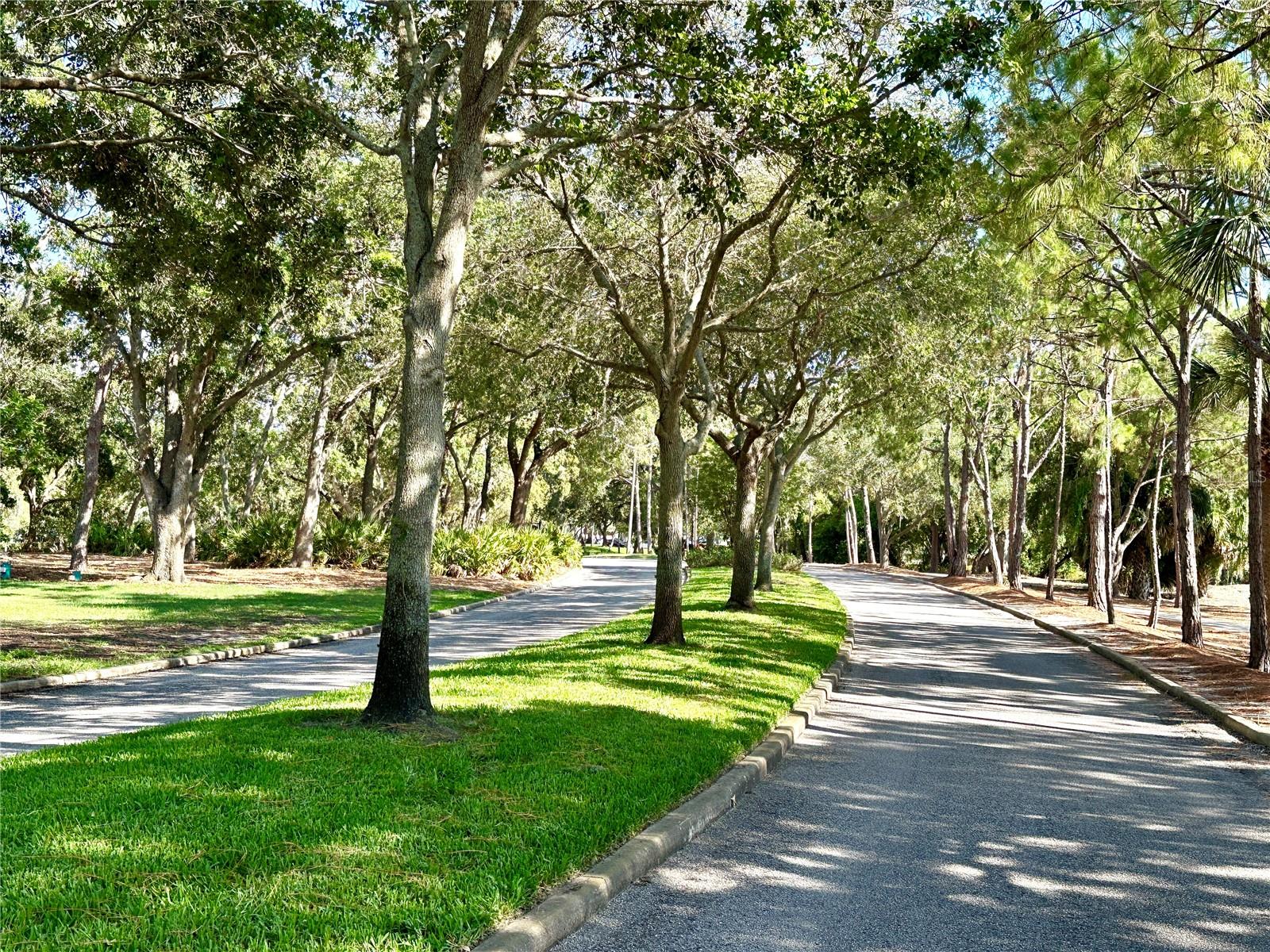 36750 US 19 HWY N #3104, PALM HARBOR, FL — photo 40
