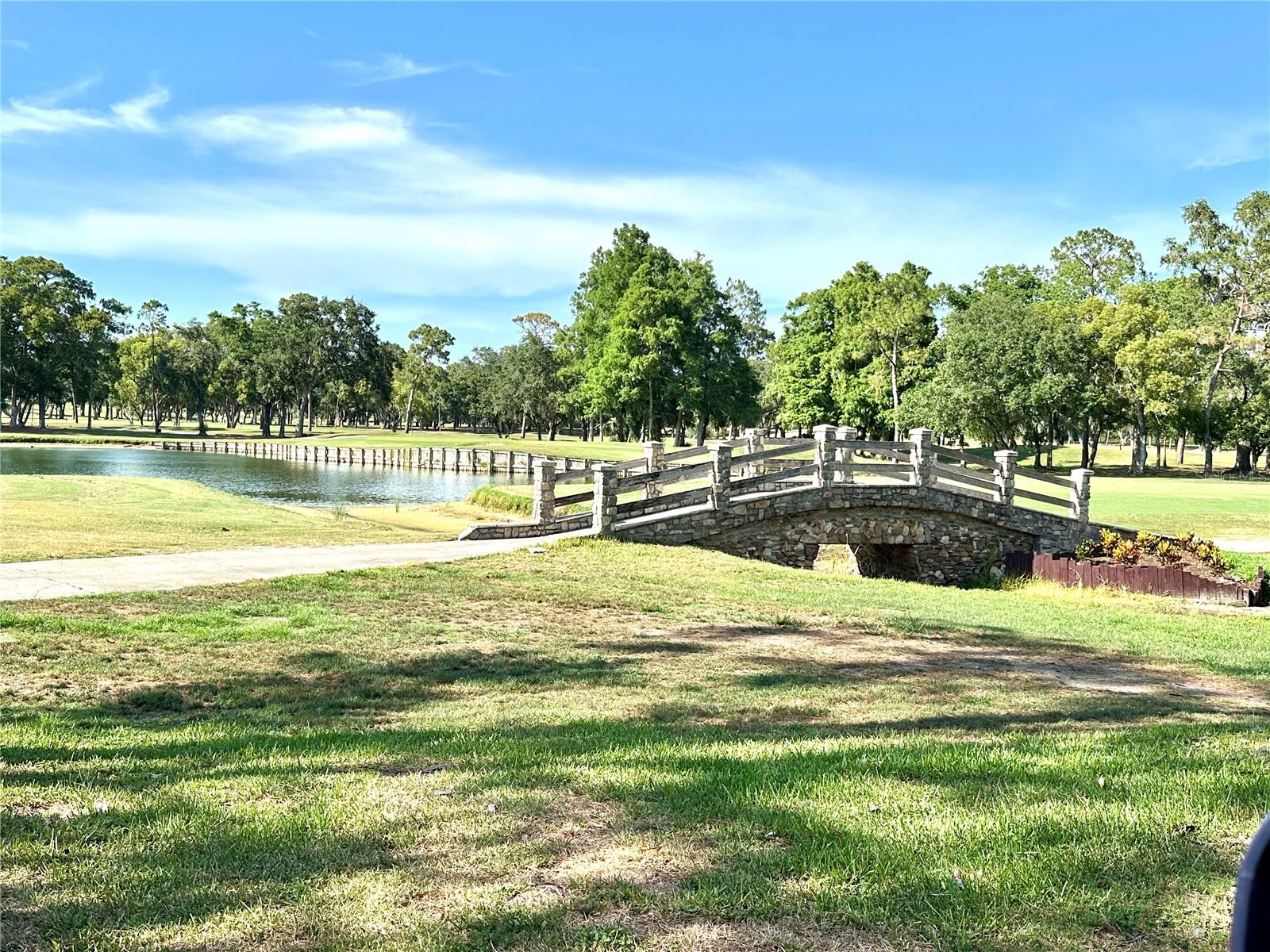 36750 US 19 HWY N #3104, PALM HARBOR, FL — photo 41