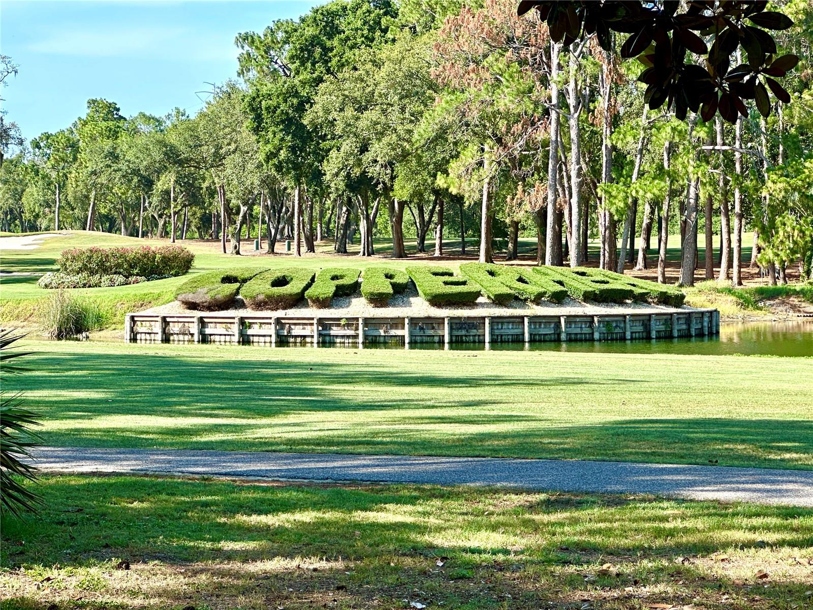 36750 US 19 HWY N #3104, PALM HARBOR, FL — photo 42