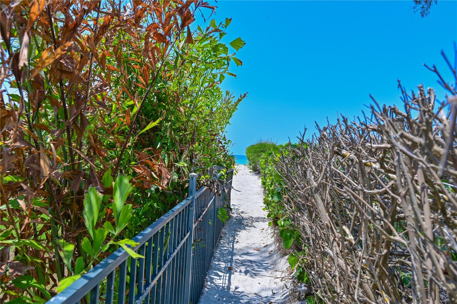5924 GULF OF MEXICO DR, LONGBOAT KEY, FL — photo 34