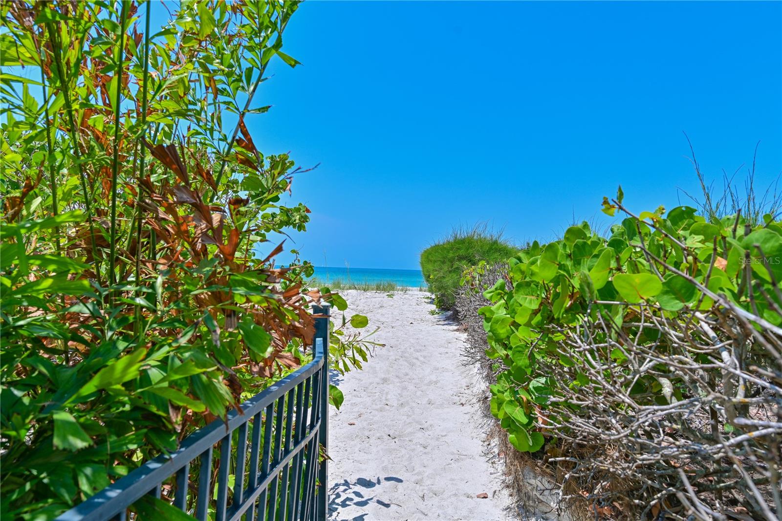 5924 GULF OF MEXICO DR, LONGBOAT KEY, FL — photo 35